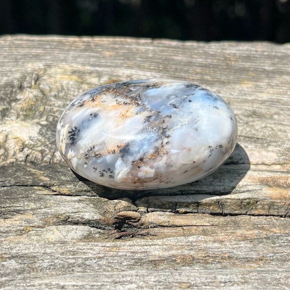 Dendritic Opal Palm - Picture 3 of 4